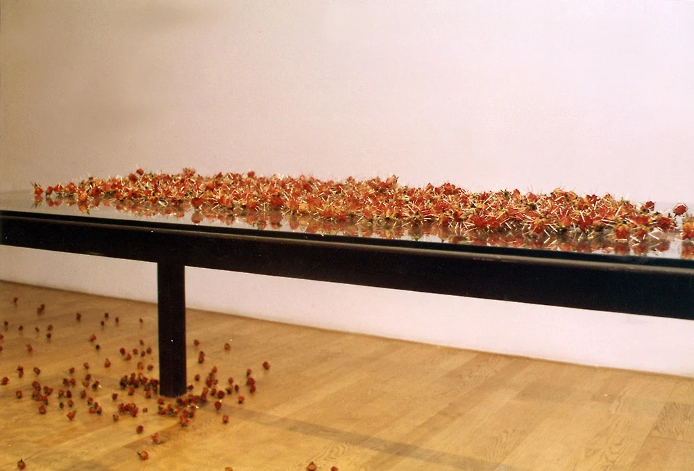 陳慧嶠，《妳是玫瑰我是針》，1993，大頭針、乾燥玫瑰花，185×105×70cm。-圖片